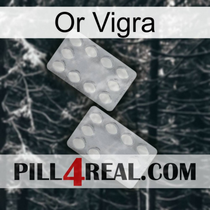 Gold Vigra 17